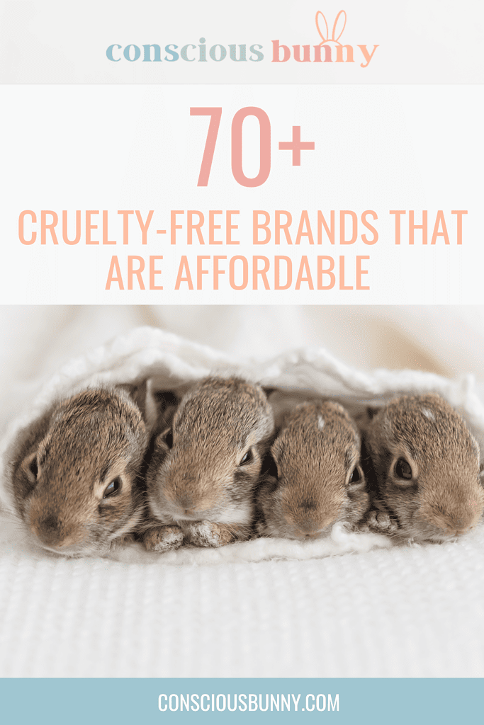 70+ Cruelty-Free Brands That Are Affordable: Save Some Money