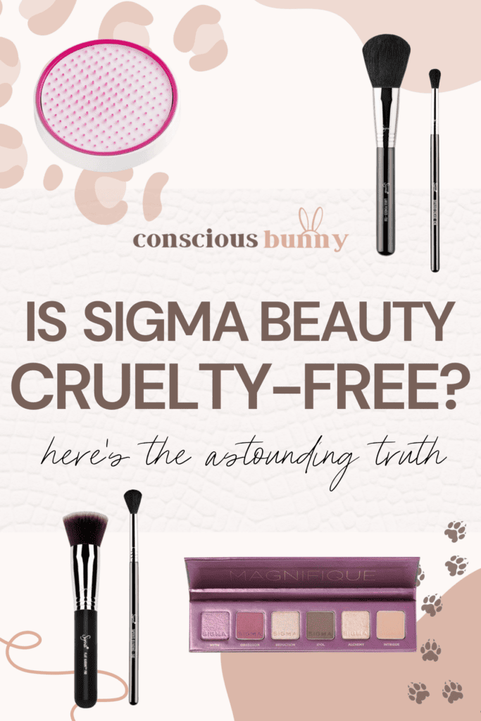 Is Sigma Beauty Cruelty-Free? The Truth Behind Your Fave Brand