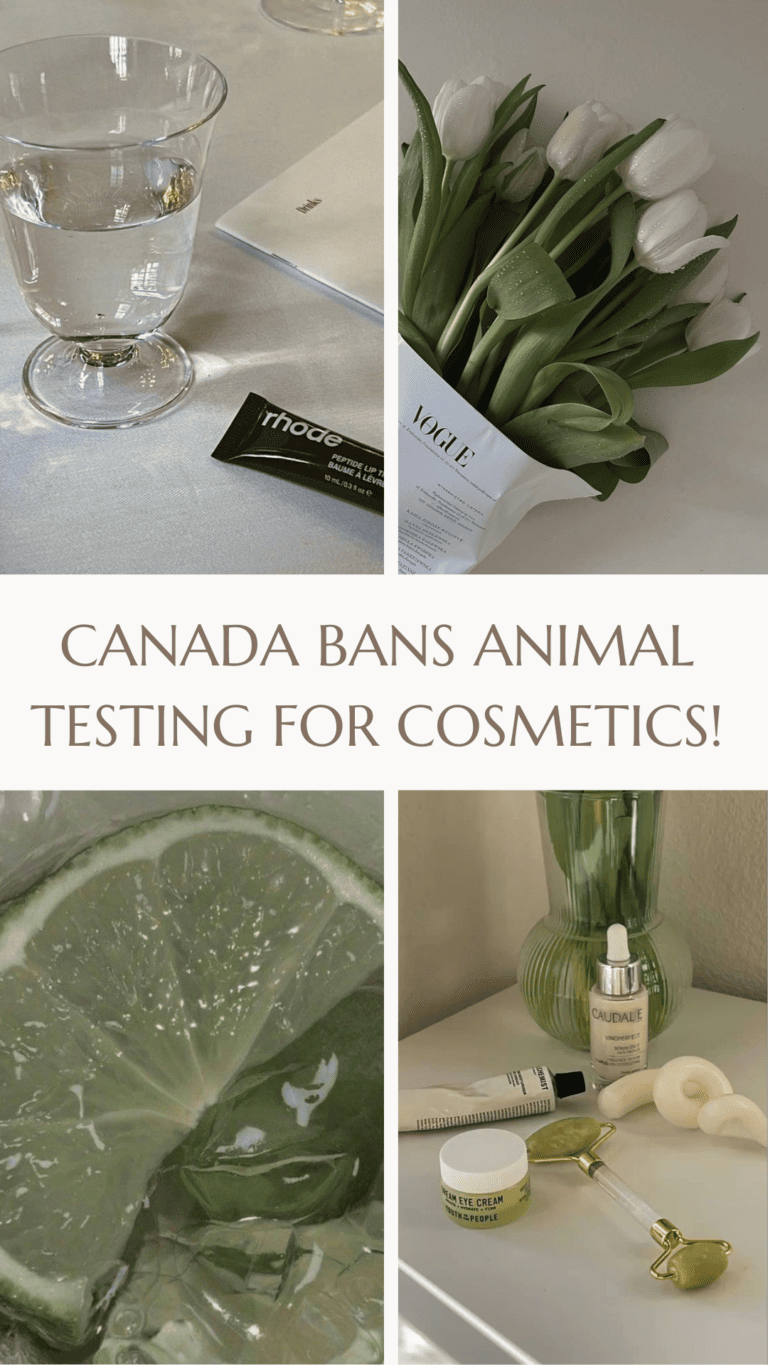 Canada Bans Animal Testing For Cosmetics