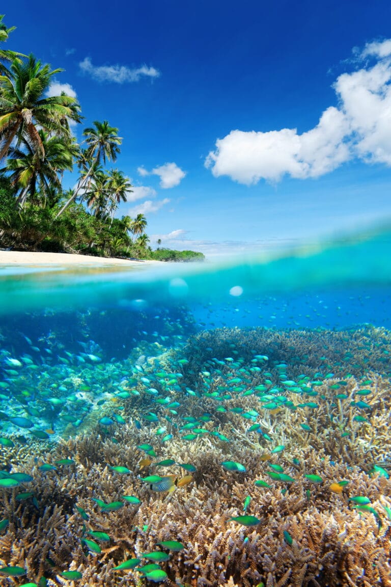 What Makes A Sunscreen Reef-Safe