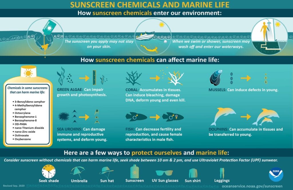 What Makes A Sunscreen Reef-Safe