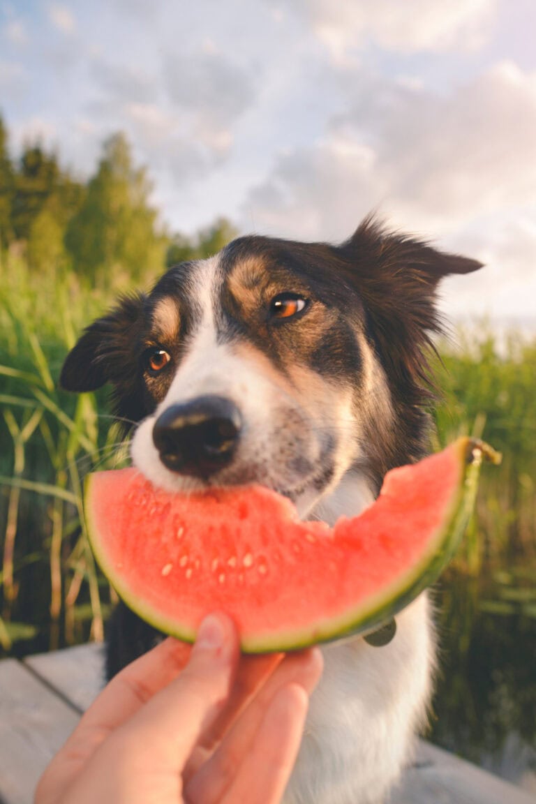 Benefits Of Vegan Beauty