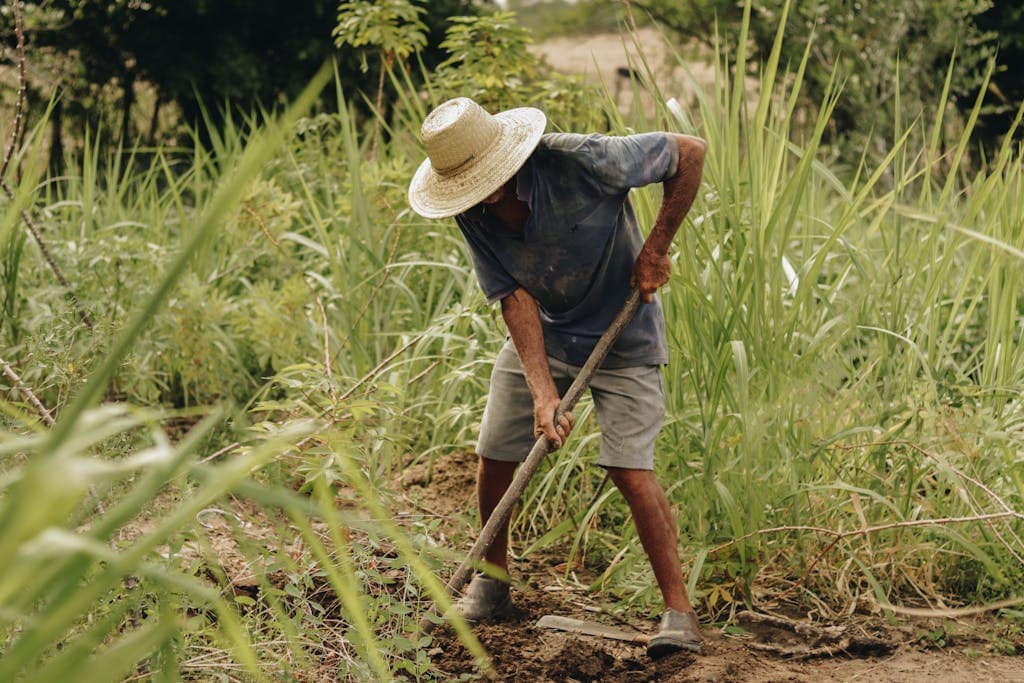 Man farming in lush green countryside of Paulista, Brazil, wearing straw hat under daylight.